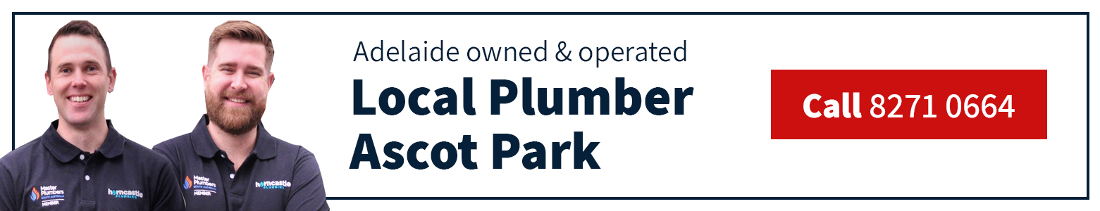 Local Ascot Park Plumber