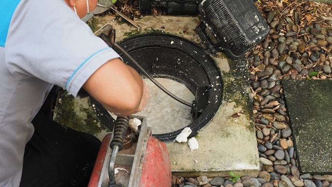 Blocked Drain Repairs Adelaide - How To Deal With Tree Roots In Drains