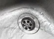 Your Guide to Year-Round Drain Maintenance